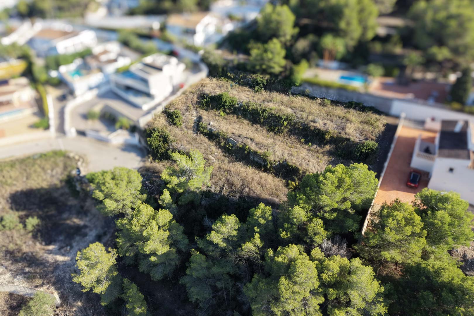 Vue aérienne du terrain urbain en terrasses avec murets en pierre sèche, entouré de pins et de villas résidentielles dans un quartier calme de Moraira.