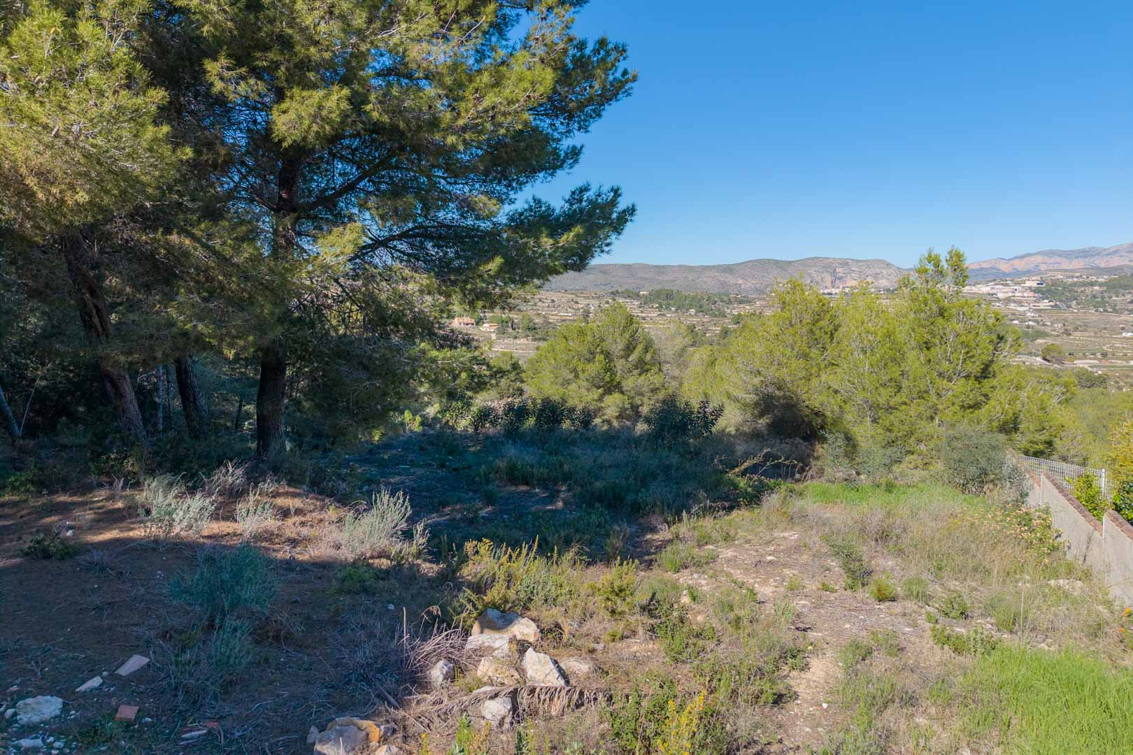 Terrain urbain à Benimeit avec des pins matures et des vues dégagées sur la vallée et les montagnes. Environnement naturel avec végétation locale et ciel clair.