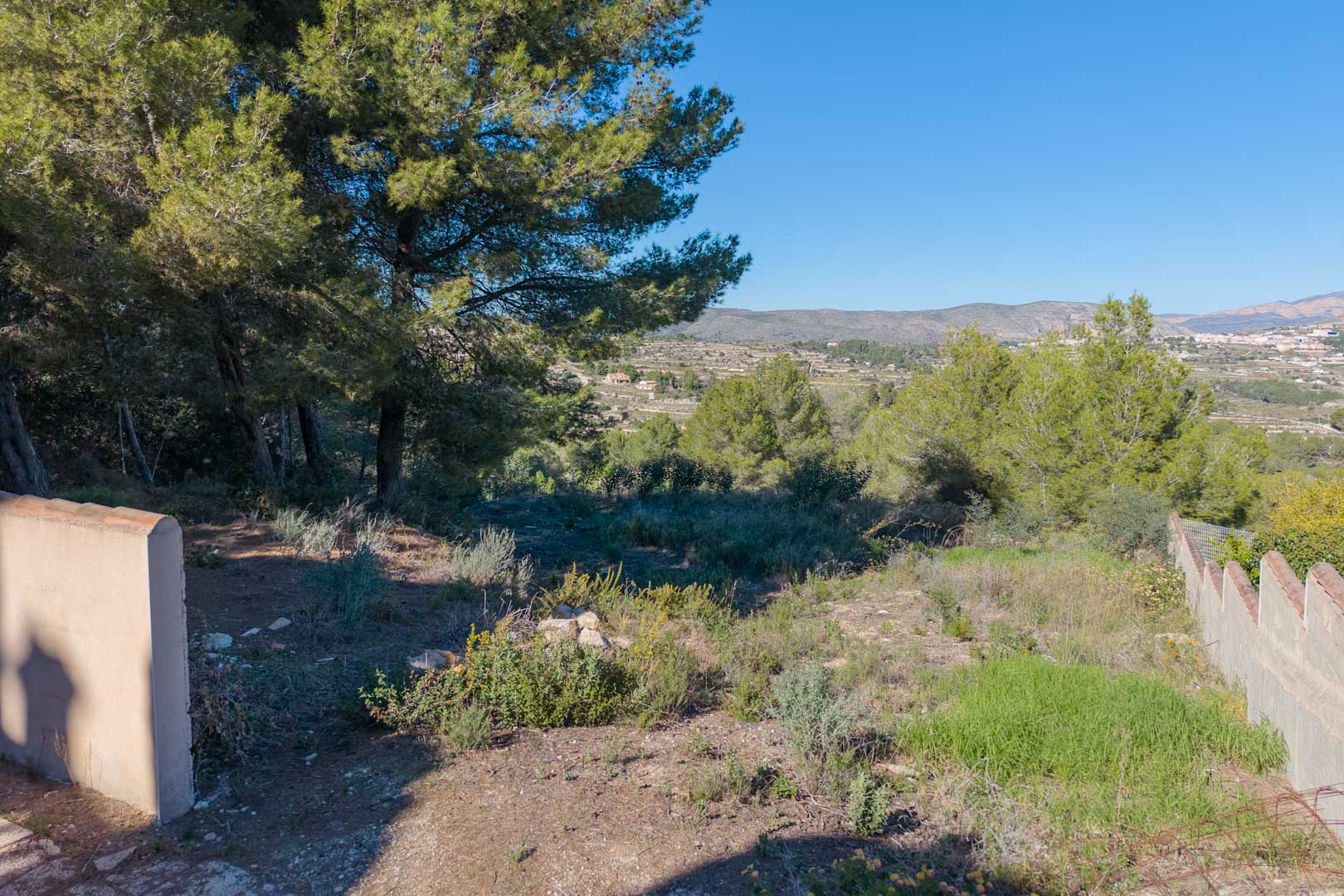 Terrain urbain avec des pins matures offrant une vue dégagée sur la vallée et les montagnes. La parcelle présente une topographie naturelle bordée de murs.