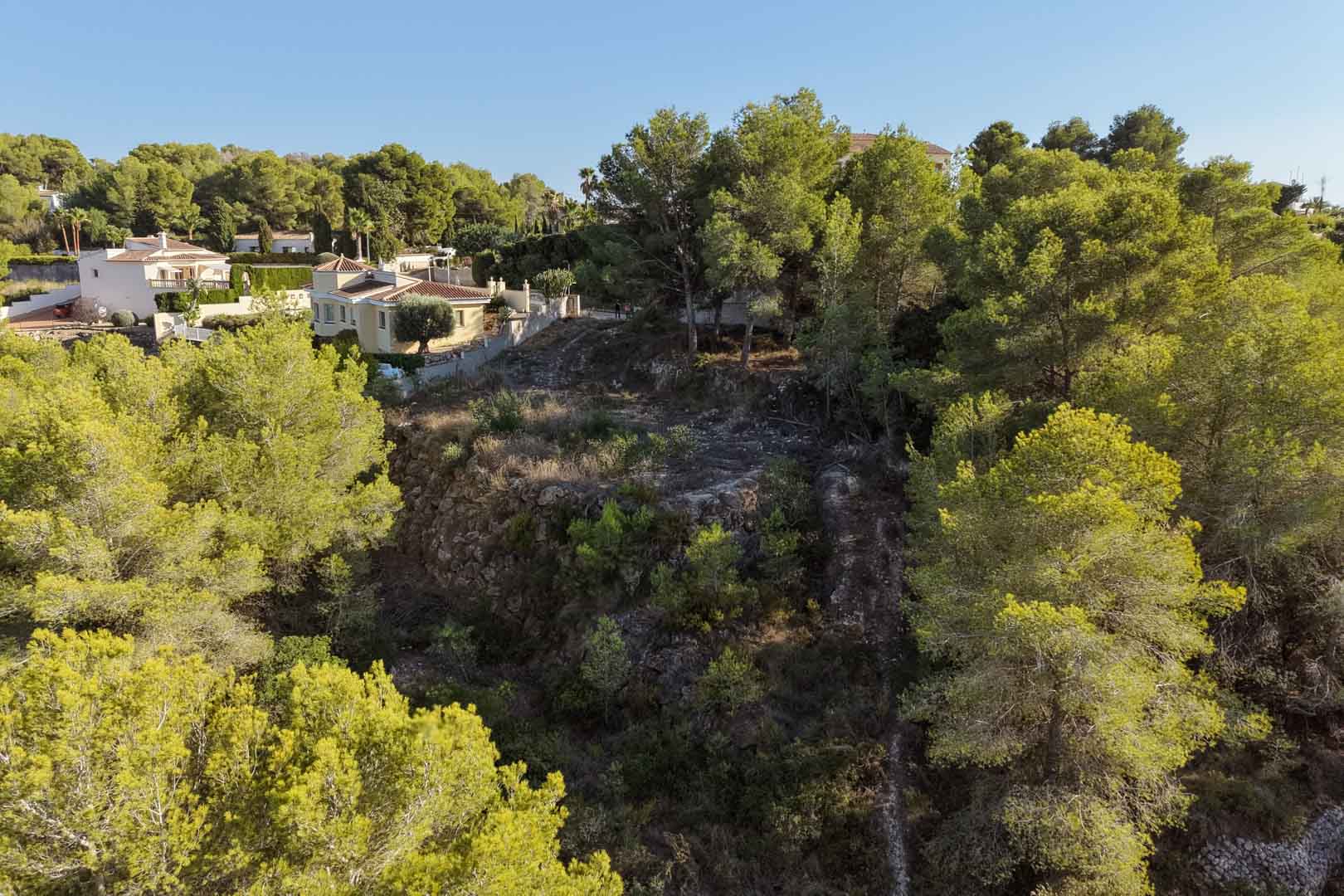 Terrain urbain surélevé à Benimeit, entouré de pins matures et de végétation méditerranéenne, avec un relief naturel en terrasses et vue sur les villas voisines.