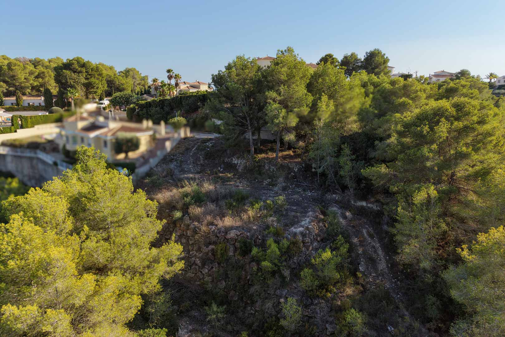 Terrain urbain surélevé à Moraira avec murs de soutènement en pierre naturelle, entouré de pins matures et de végétation méditerranéenne.