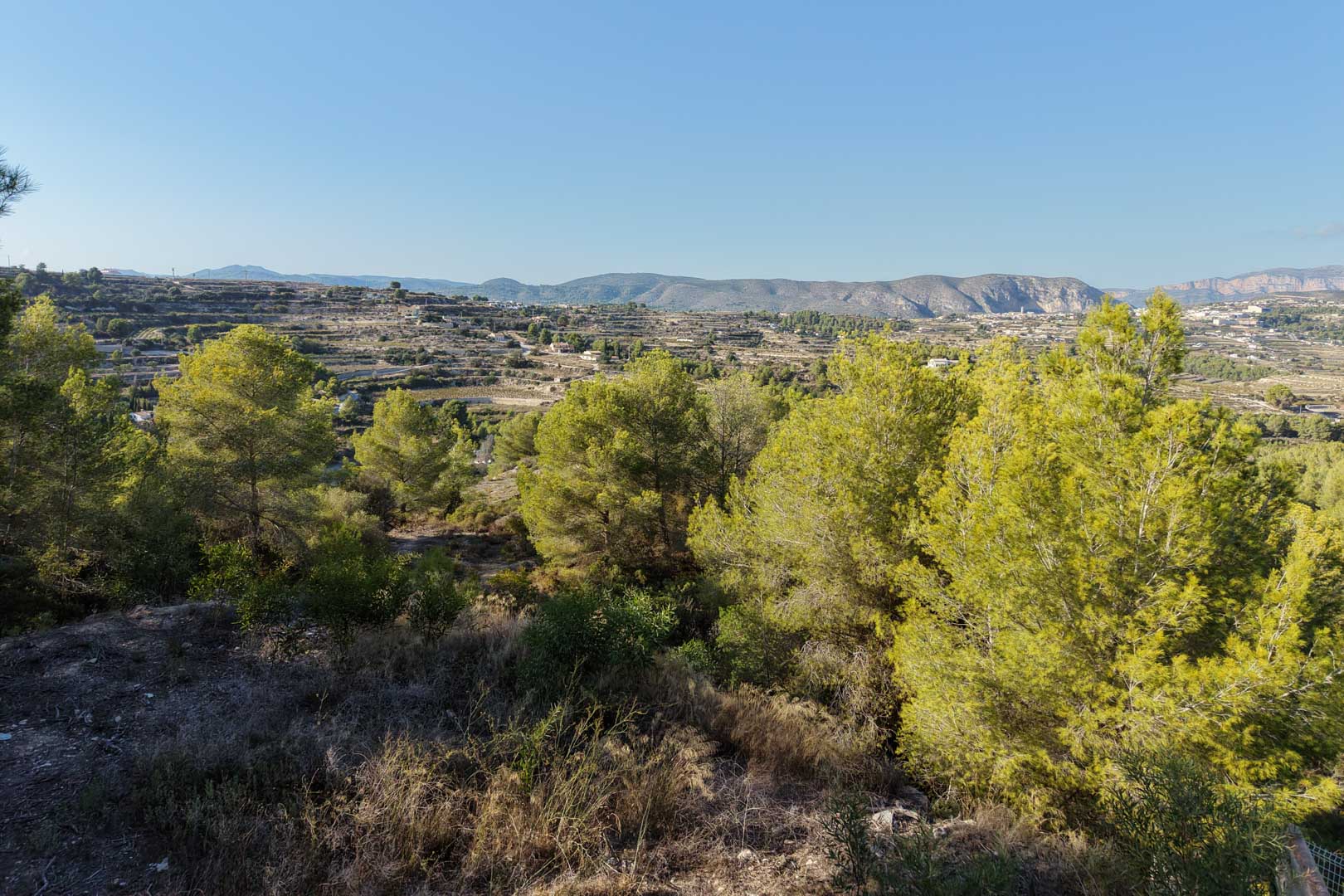 Vue panoramique depuis le terrain sur la vallée et les montagnes, mettant en valeur la nature environnante avec des pins et des terrasses traditionnelles.