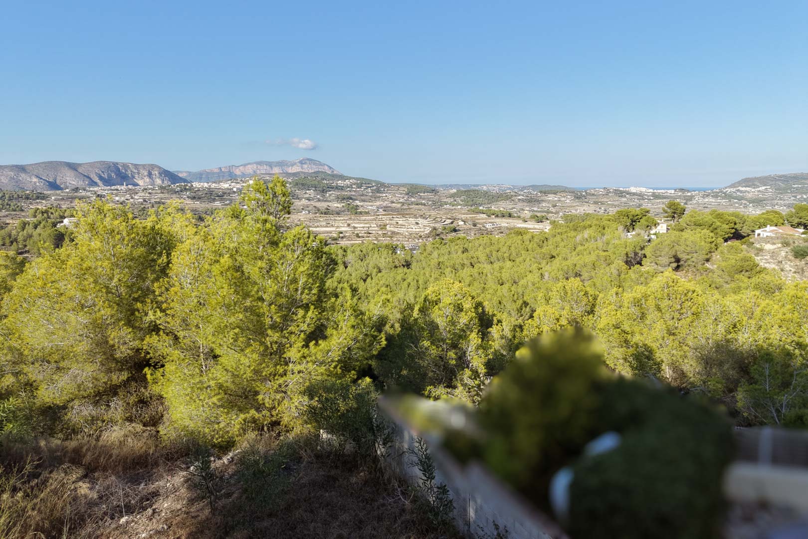 Vues panoramiques depuis le terrain à Benimeit, mettant en valeur la vallée de pins, les chaînes de montagnes lointaines et un aperçu de la mer Méditerranée.