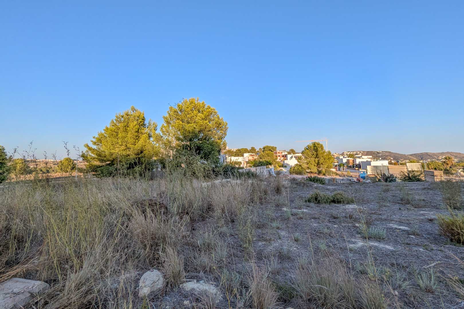 Vue du terrain plat avec végétation indigène et pins, entouré de maisons individuelles modernes dans le quartier résidentiel d'El Tesoro.