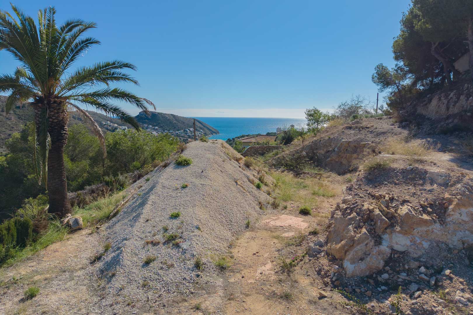 Terrain surélevé à Moraira avec vue panoramique sur la mer Méditerranée, entouré de pins et d'une végétation locale préservée, parfait pour un projet de luxe.