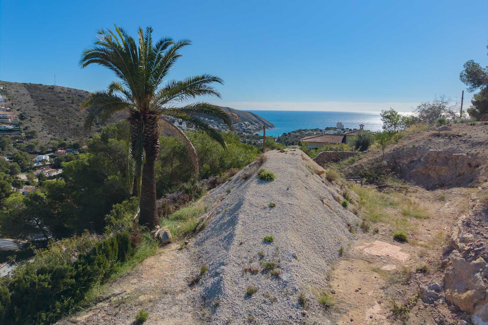 Vue panoramique depuis le terrain surélevé sur la baie d'El Portet, avec un palmier et la mer Méditerranée sous un ciel dégagé.