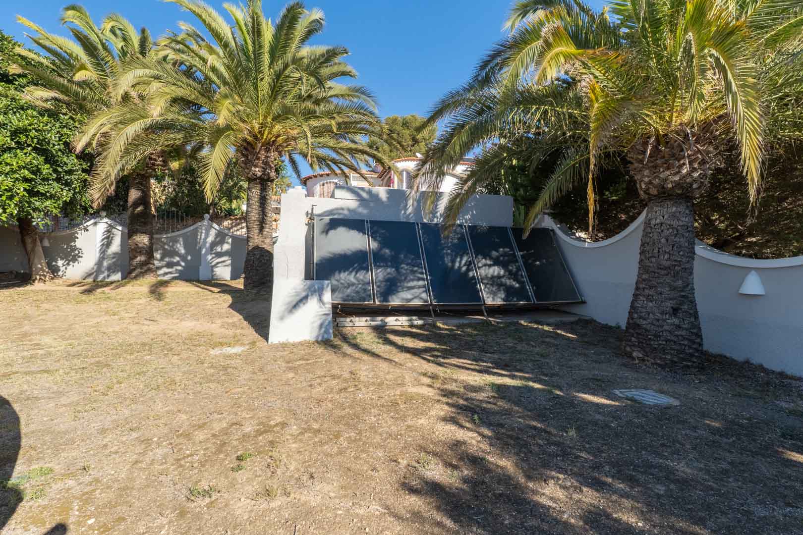 Espace jardin avec panneaux solaires thermiques au sol, entouré de grands palmiers et de murs de clôture blancs sous un éclairage naturel.