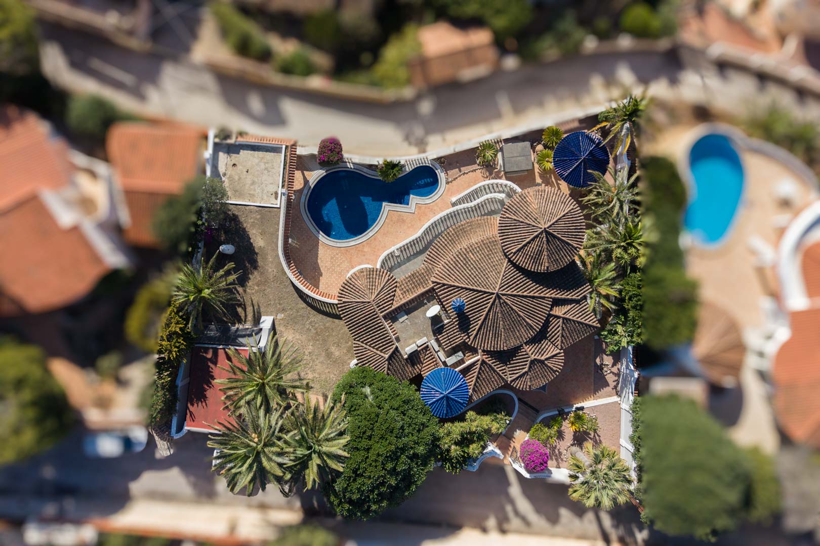 Vue aérienne de la propriété mettant en valeur l'architecture des toits circulaires, la piscine de forme organique et les terrasses bordées de palmiers.