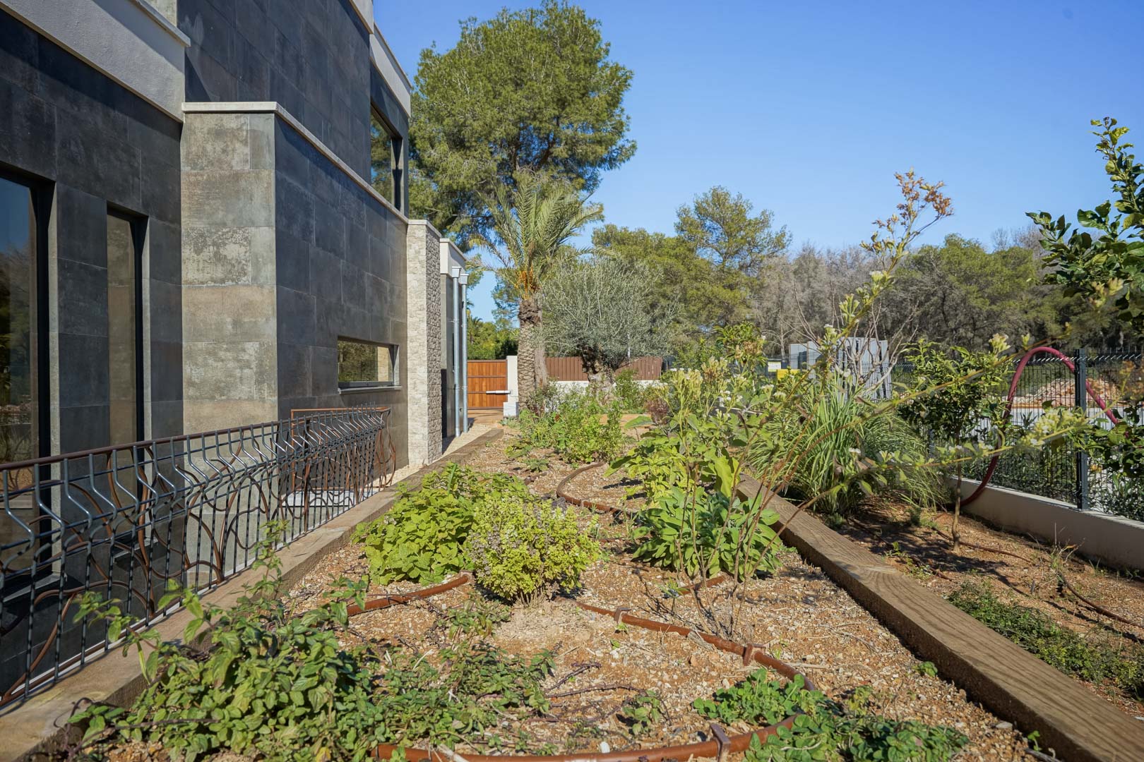Façade moderne avec parement en pierre sombre bordant un jardin méditerranéen équipé d'un système d'irrigation goutte à goutte.