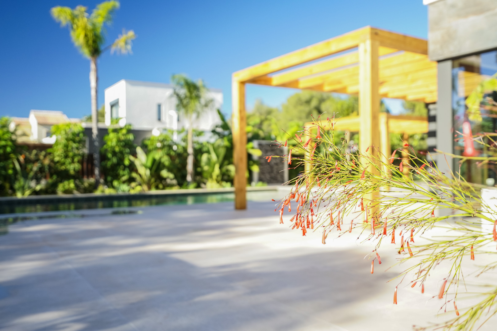Terrasse extérieure avec pergola en bois d'iroko et vue sur le jardin méditerranéen. Premier plan de végétation ornementale près de la piscine.