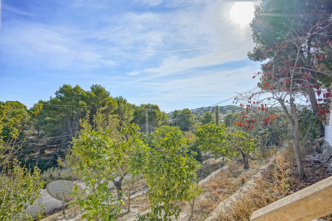 Vues dégagées depuis la propriété sur une pinède naturelle et les collines environnantes, agrémentées d'arbres fruitiers et d'une lumière vive.