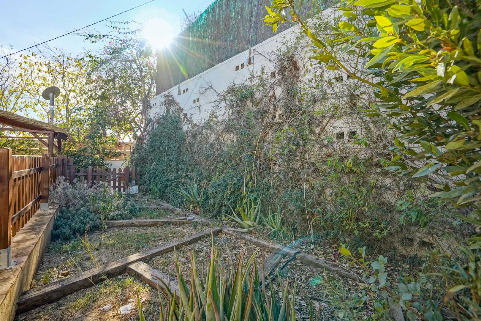 Espace jardin avec des traverses en bois délimitant les parterres, des plants d'aloe vera et des plantes grimpantes sur un mur de clôture ensoleillé.
