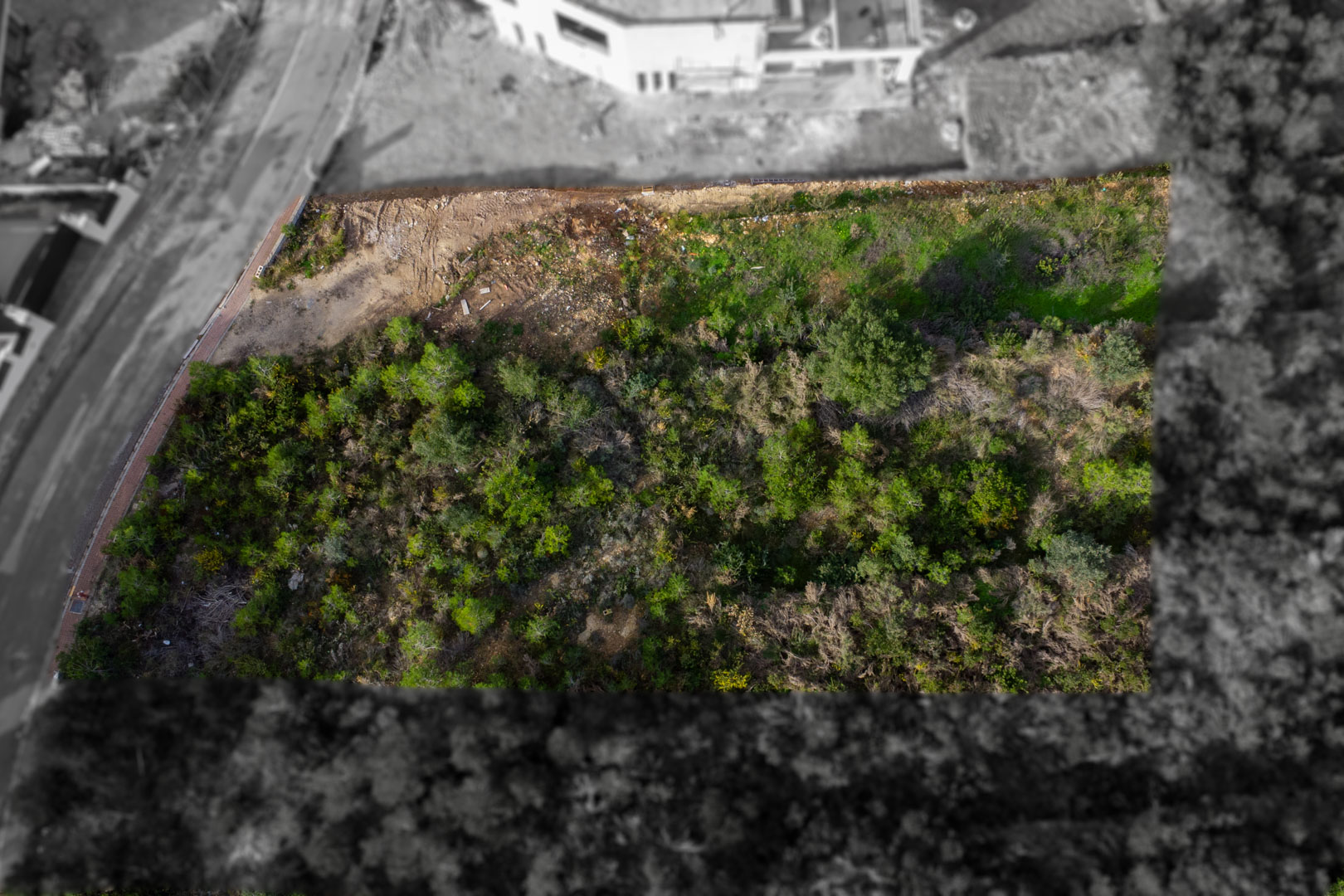 Vue aérienne de la parcelle rectangulaire à Monte Olímpico, illustrant sa végétation naturelle et son accès direct à la rue pavée avec trottoirs.
