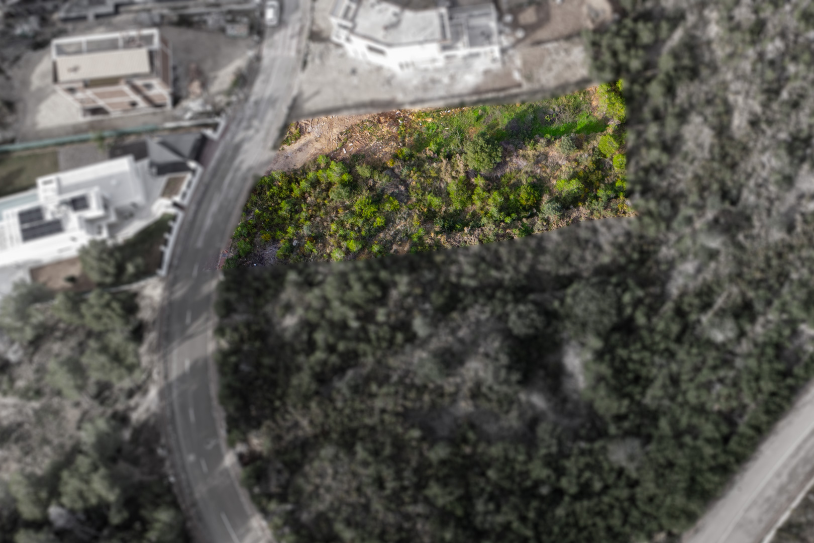 Vue aérienne de la parcelle rectangulaire mise en évidence, illustrant sa végétation naturelle et son accès direct par une route goudronnée dans le quartier.