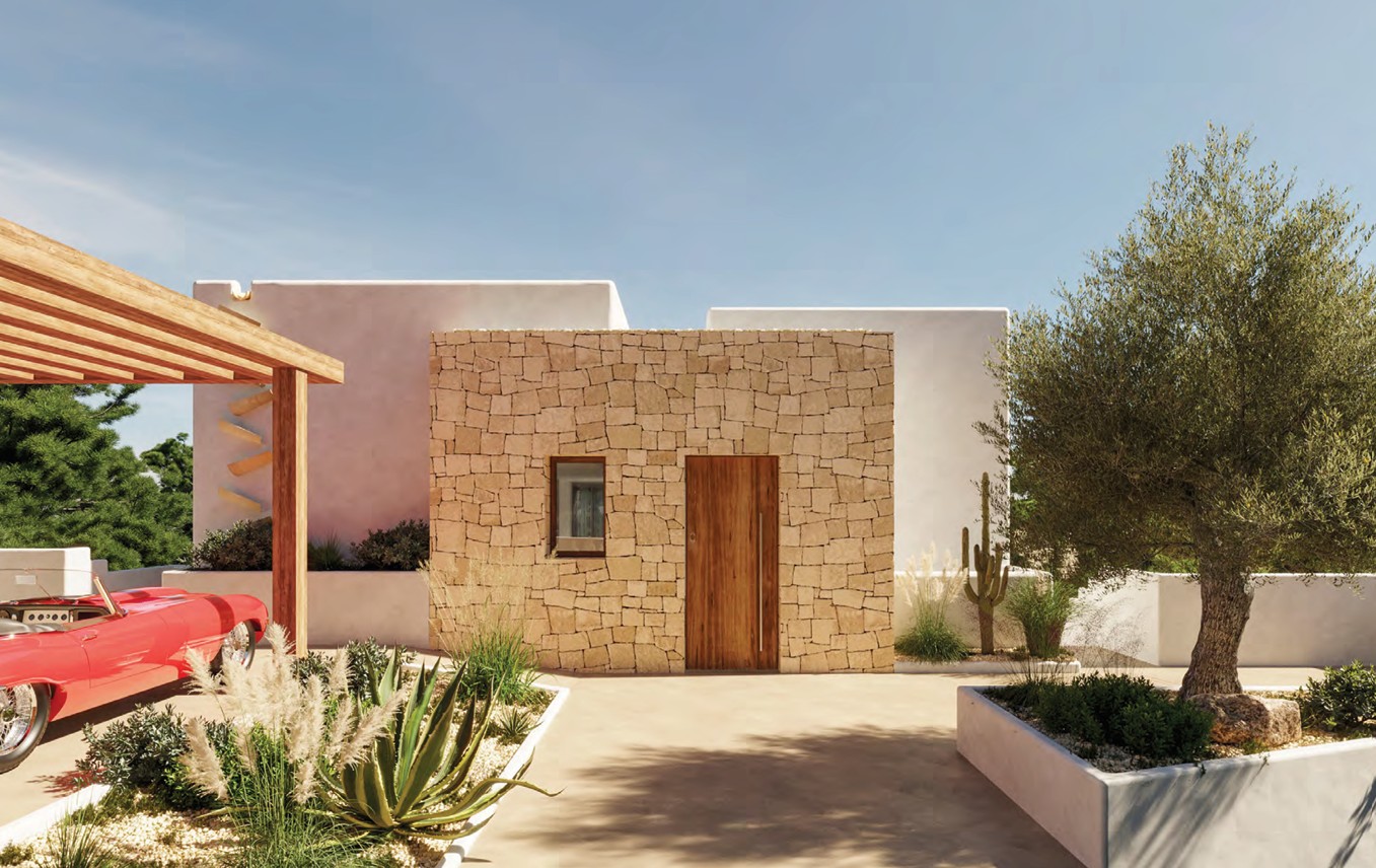Façade en pierre avec porte en bois et jardin méditerranéen avec cactus et olivier.