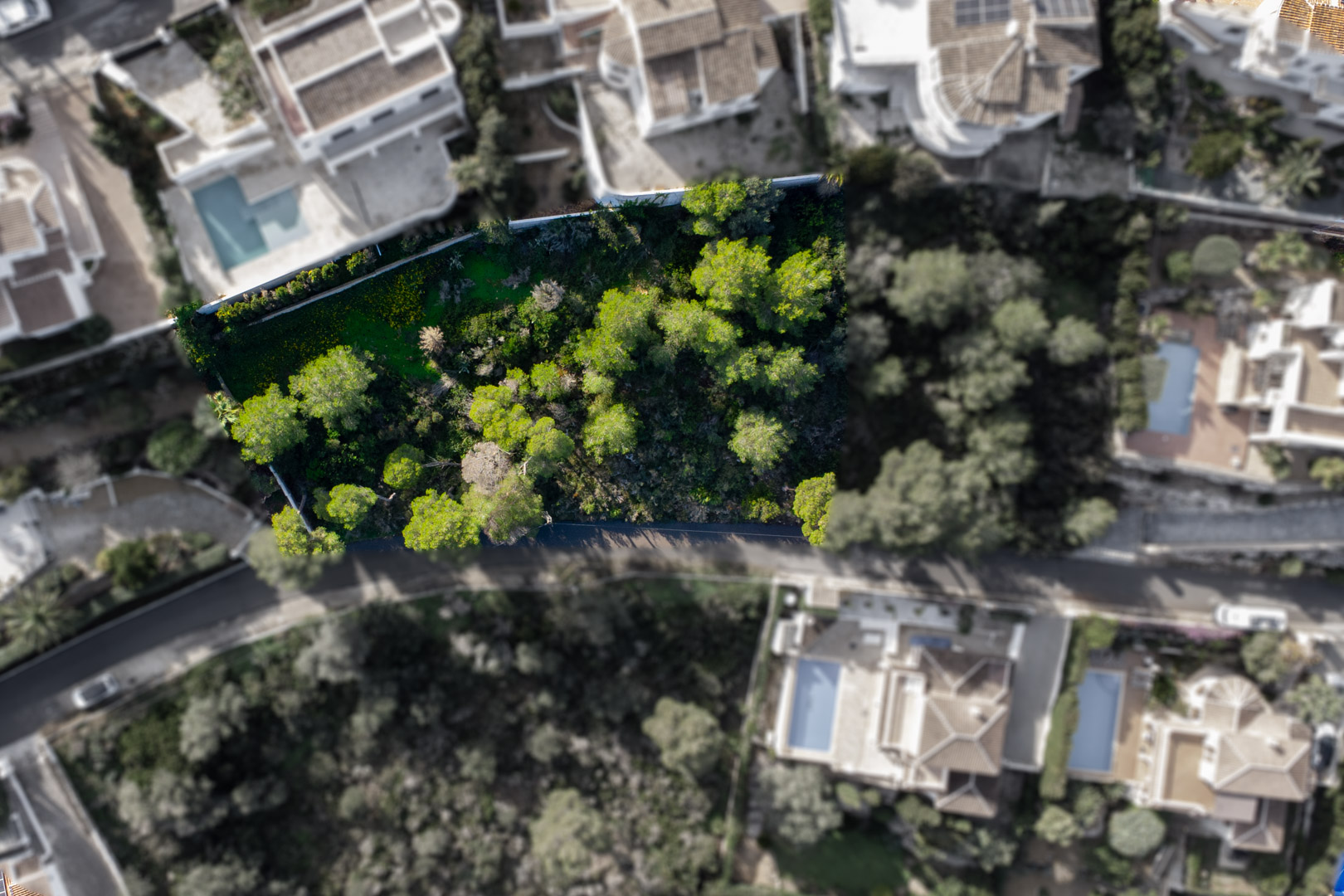 Vue aérienne zénithale du terrain de 1521 m2, mettant en évidence sa végétation de pins et son intégration dans un quartier résidentiel calme de Jávea.
