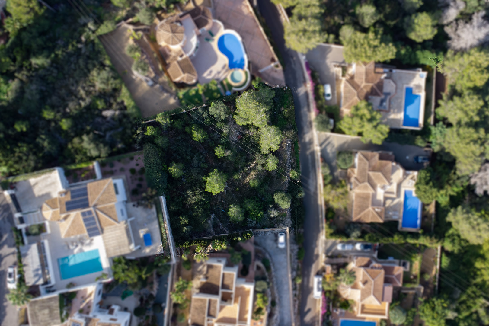 Vue aérienne zénithale du terrain de 1042m2, révélant une végétation dense de pins au cœur d'un quartier résidentiel exclusif avec villas et piscines privées.