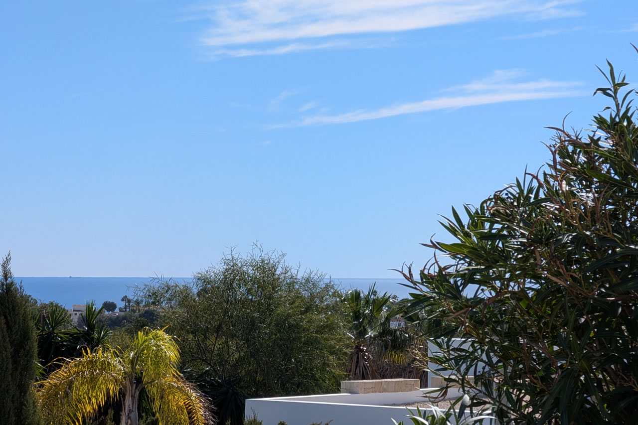 Vue dégagée sur l'horizon de la mer Méditerranée, encadrée par une végétation locale luxuriante et des palmiers sous un ciel bleu clair.