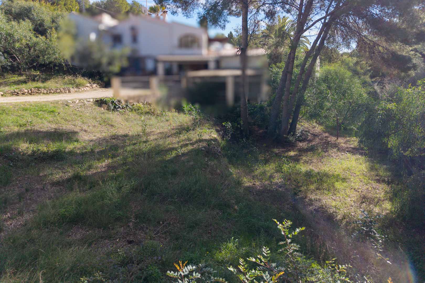 Terrain urbain avec végétation naturelle et pins, situé dans un quartier résidentiel de Moraira offrant une exposition ensoleillée et un environnement calme.