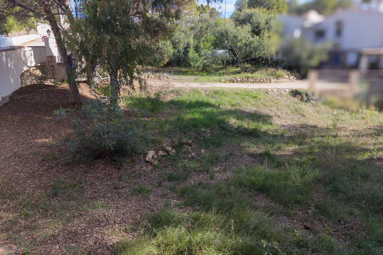 Terrain urbain en pente douce avec végétation locale et pins. Il comprend des murs en pierre naturelle et un accès direct depuis une rue résidentielle calme.