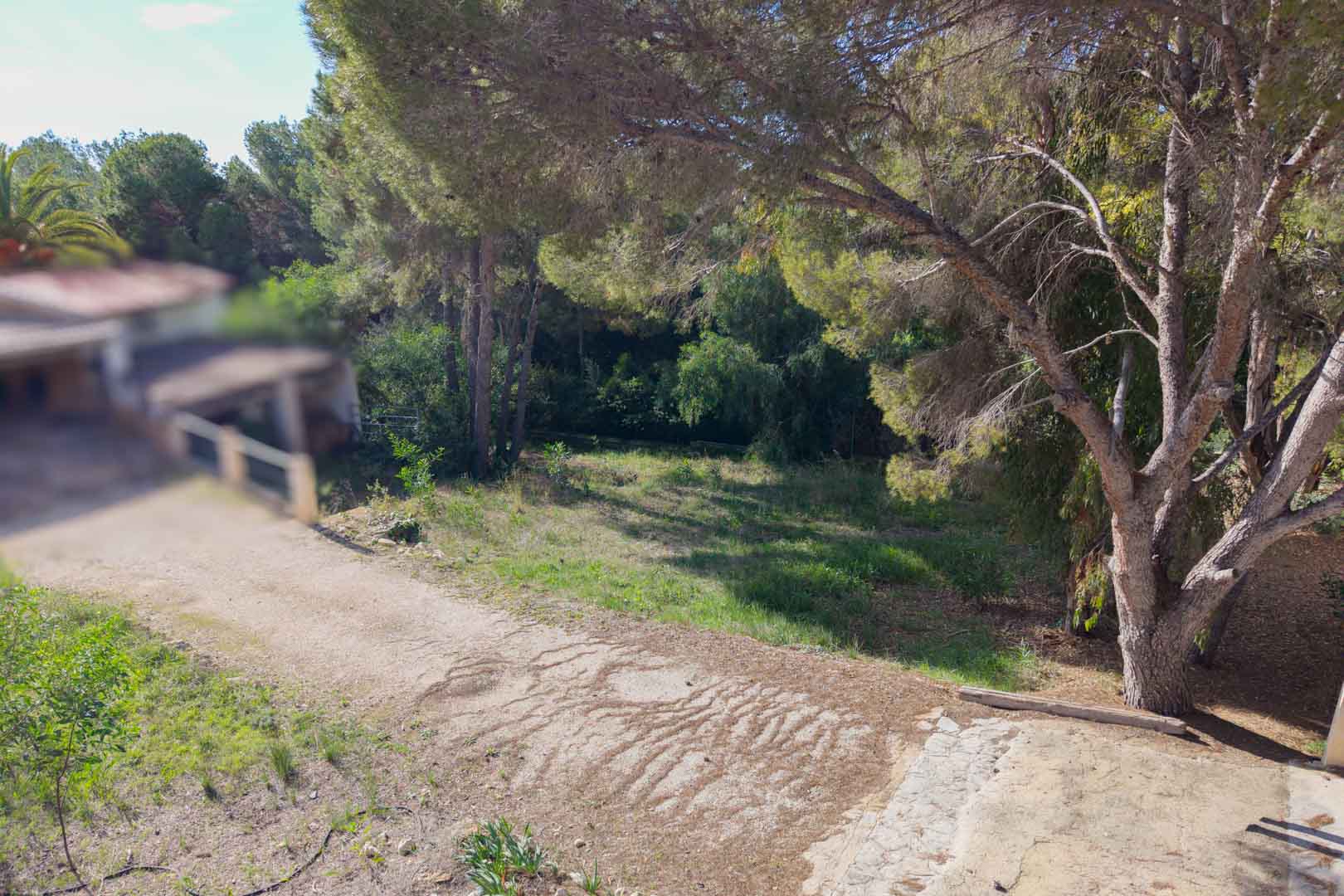 Terrain urbain en pente douce, entouré de pins matures et de végétation locale. Comprend un chemin d'accès stabilisé dans un quartier résidentiel calme.