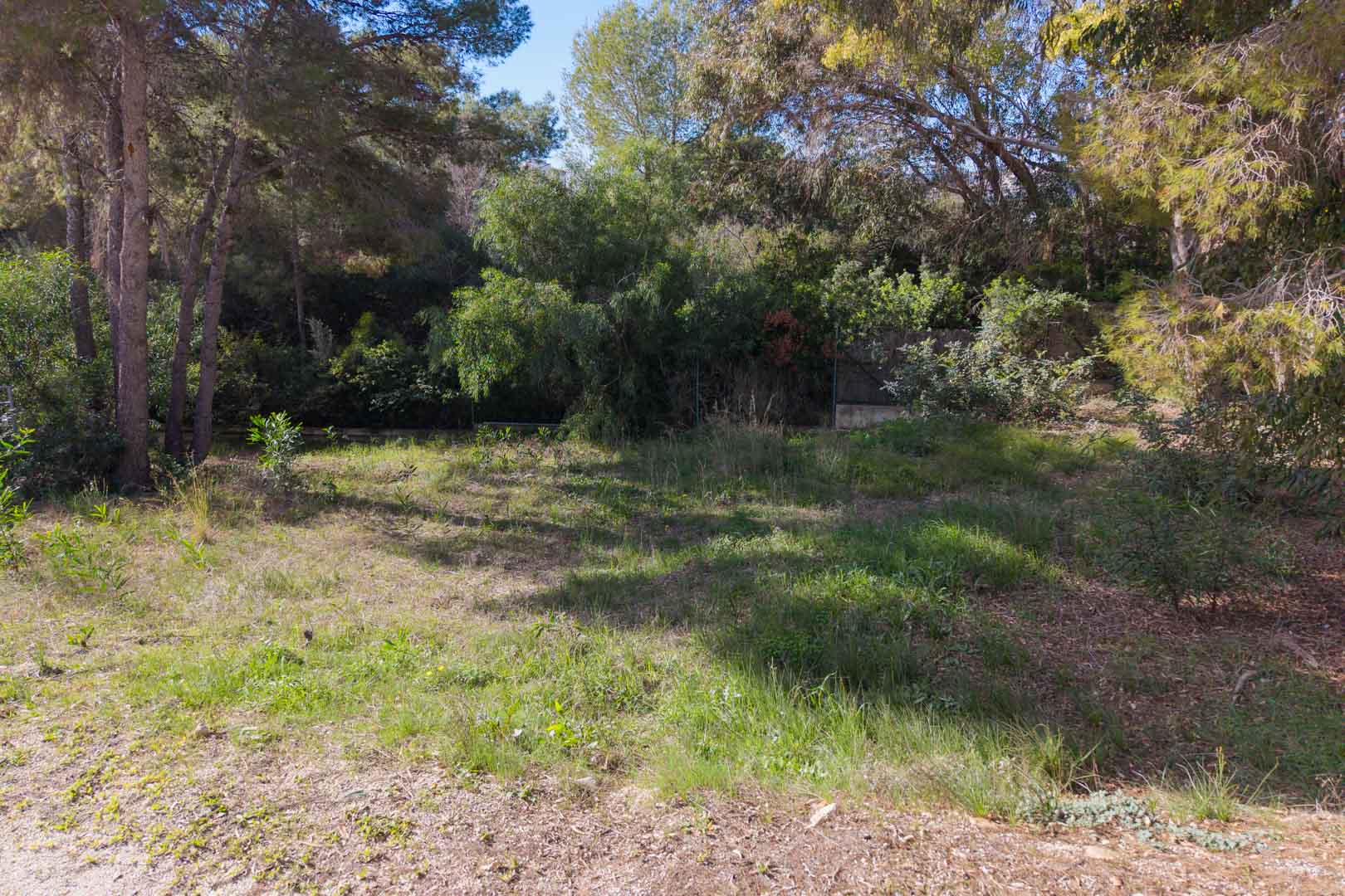 Terrain urbain plat à Moraira, entouré de pins matures et d'une végétation méditerranéenne dense, parfait pour une construction sur mesure.