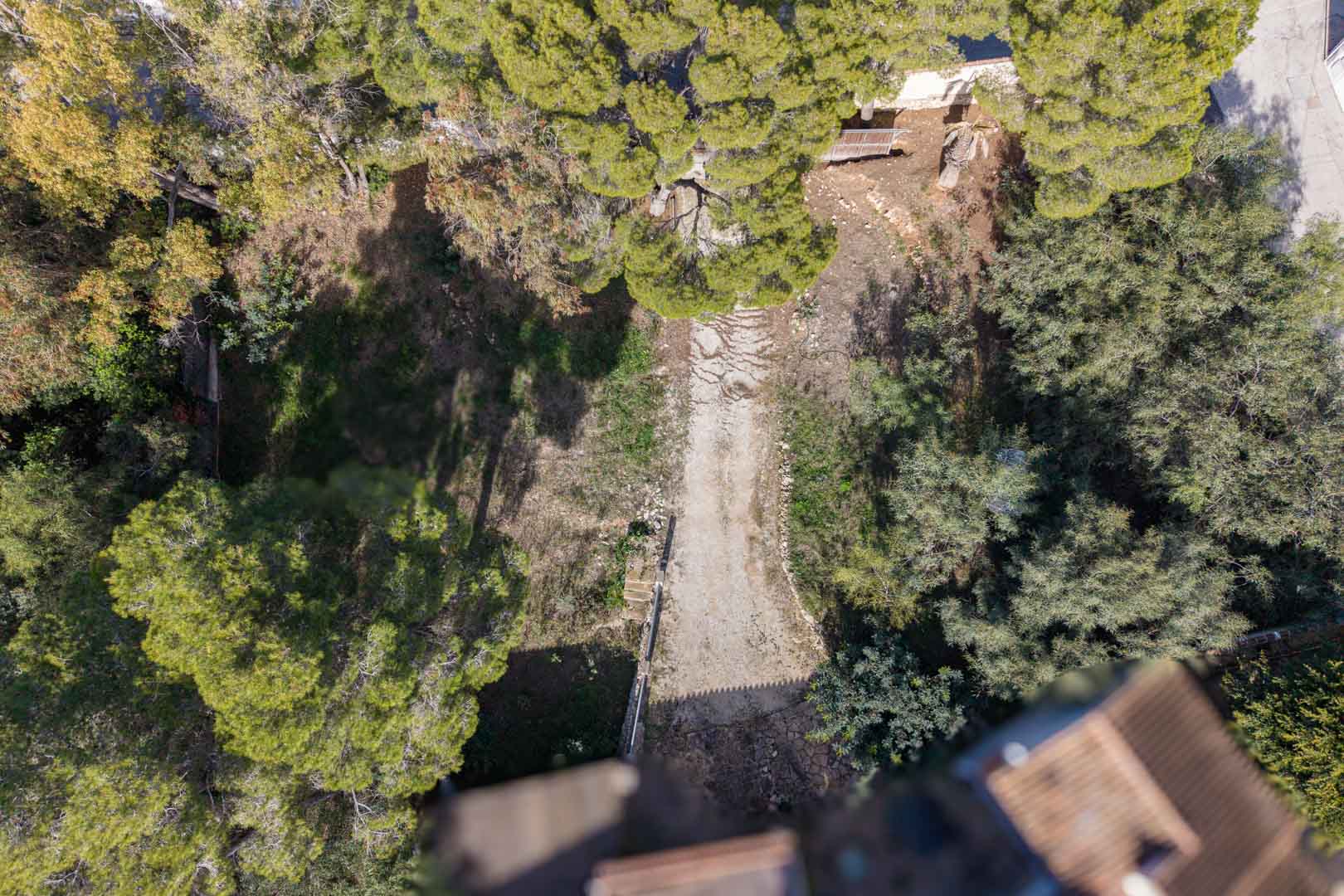 Vue aérienne du terrain montrant l'allée d'accès centrale entourée de pins matures et d'une végétation méditerranéenne préservée en bordure de propriété.