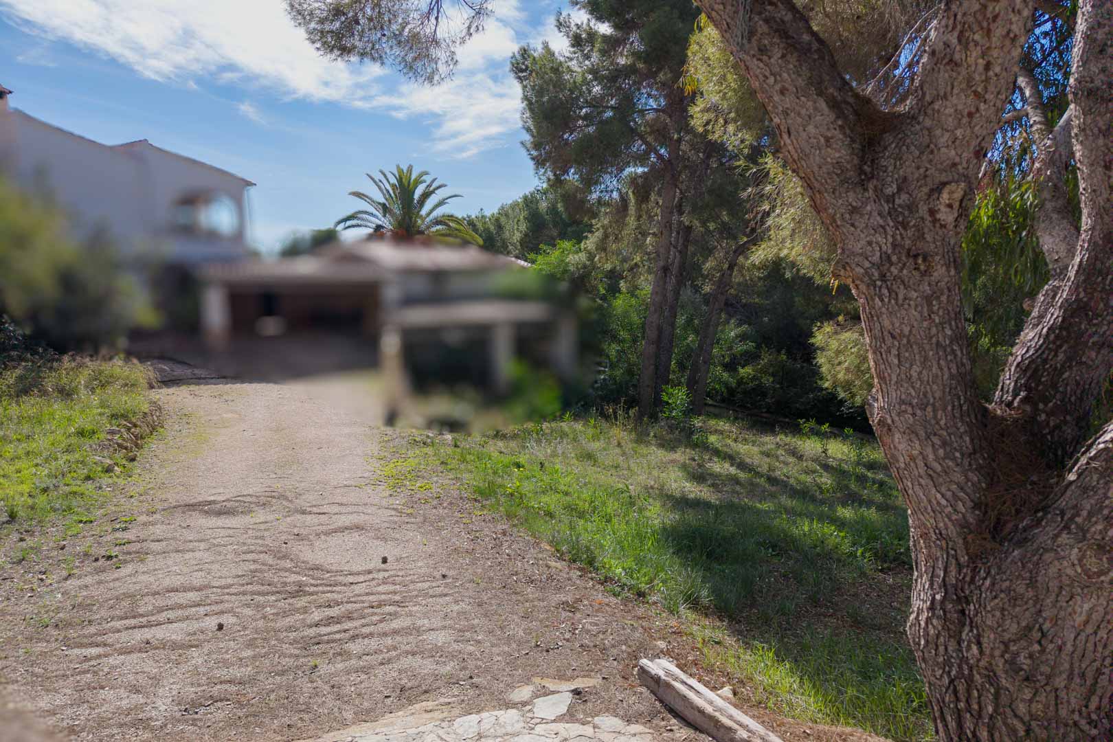 Vue du terrain urbain avec chemin d'accès, entouré de pins matures et de végétation méditerranéenne dans un quartier résidentiel établi de Moraira.