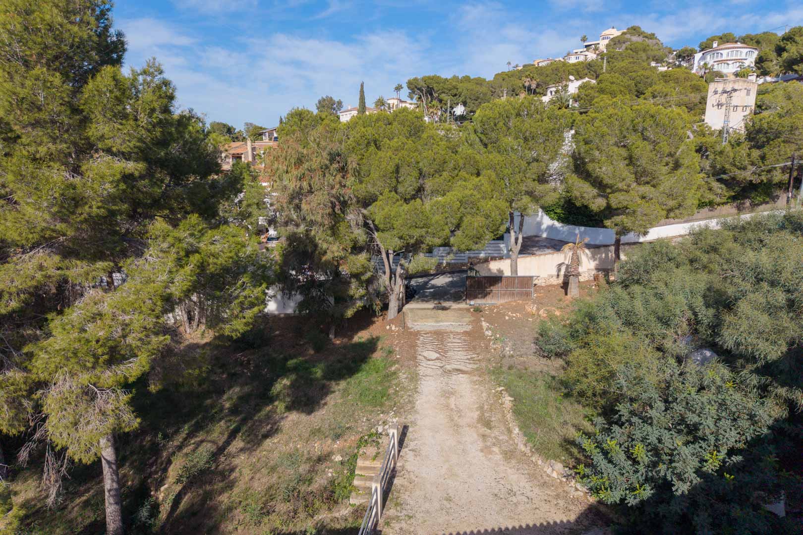 Vue surélevée du terrain urbain avec chemin d'accès privé, entouré de pins matures et de végétation méditerranéenne dans un quartier résidentiel calme.