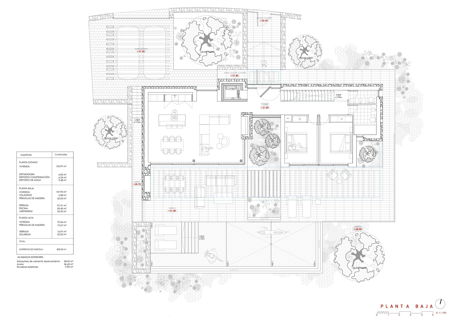 Plan détaillé du rez-de-chaussée avec espace de vie ouvert, cuisine avec îlot, deux chambres en suite, grande terrasse avec piscine et jardins paysagers avec oliviers.