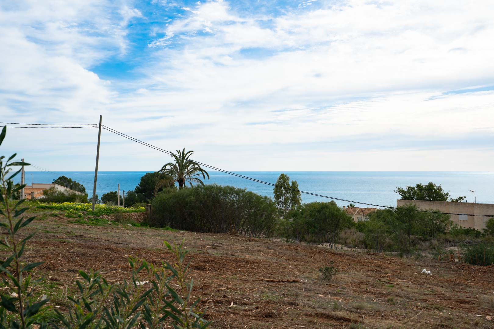 Terrain en hauteur offrant une vue dégagée sur la mer Méditerranée, bordé de végétation locale et d'un palmier sous un ciel clair.