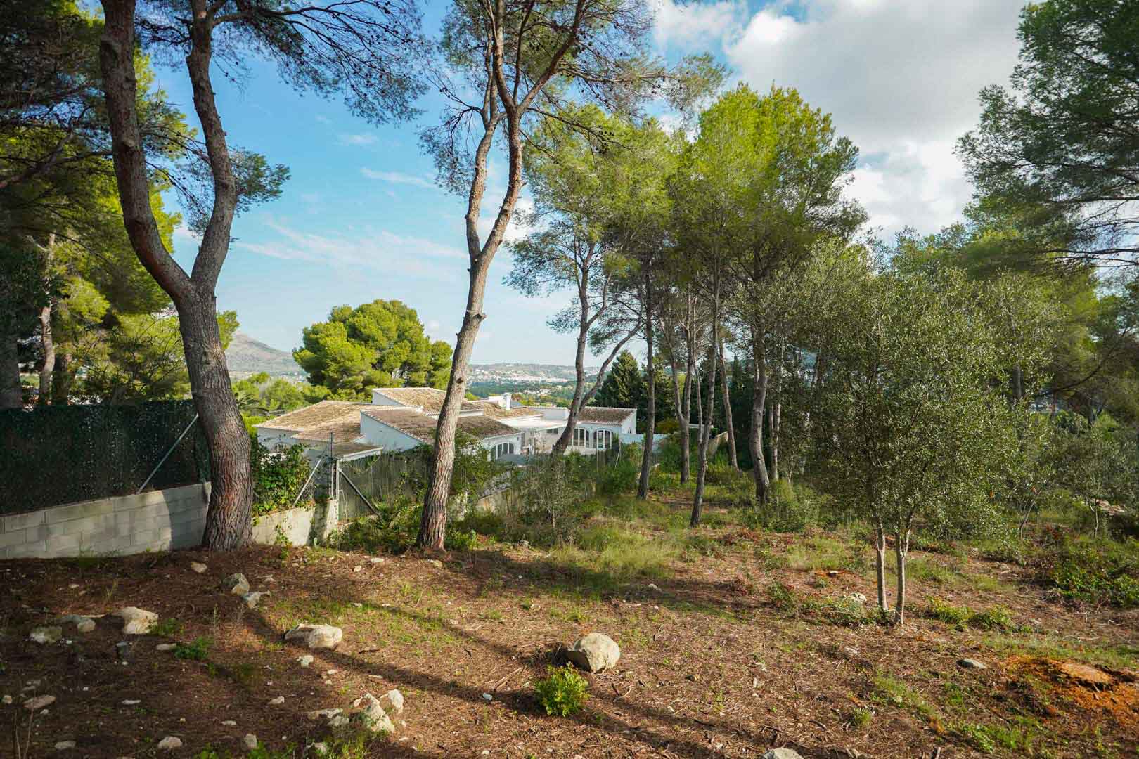 Terrain à bâtir surélevé avec des pins et oliviers matures, offrant une vue dégagée sur la vallée et les villas environnantes à La Lluca.
