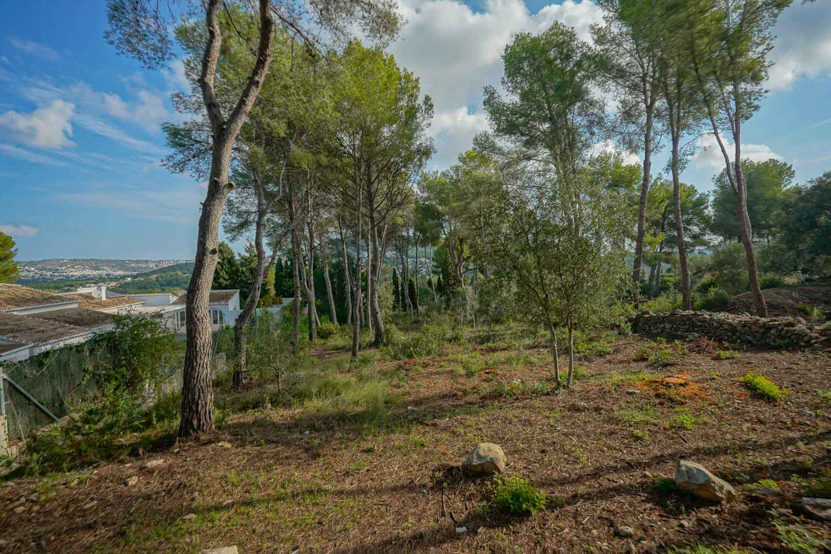 Terrain à bâtir surélevé avec des pins matures offrant une vue dégagée sur la vallée, bordé de murs en pierre et de villas résidentielles.