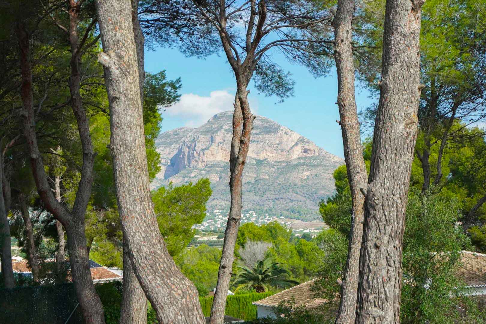 Vue panoramique sur le mont Montgó encadrée par des pins matures depuis le terrain à La Lluca, illustrant l'environnement naturel et les villas voisines.