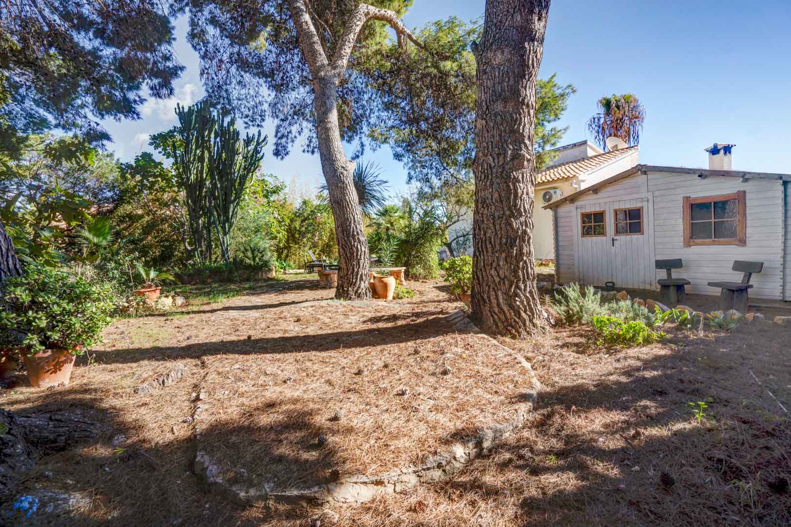 Jardin méditerranéen avec pins matures, cactus et végétation locale. Comprend un abri de jardin en bois blanc et des espaces ombragés naturels sur un terrain rustique.