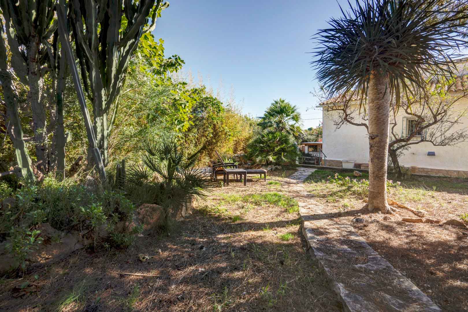 Jardin méditerranéen avec sentiers en pierre naturelle, végétation mature comprenant des palmiers et cactus, et un coin salon extérieur près de la façade blanche.