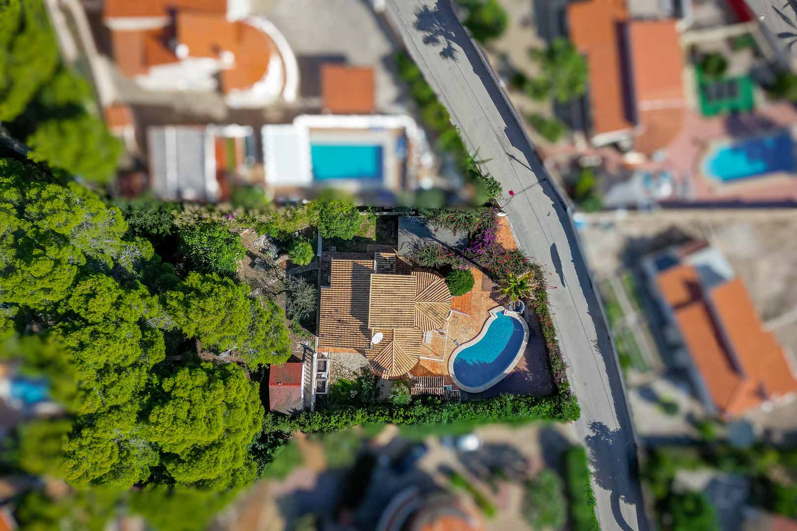 Vue aérienne de la propriété montrant les toits en tuiles, une piscine privée de forme haricot et un jardin arboré de pins offrant une intimité naturelle.