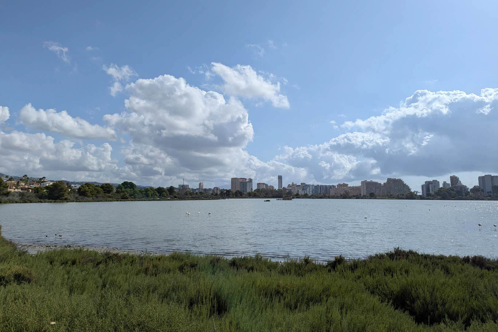 Vues panoramiques sur les salines de Calpe avec des flamants roses et la silhouette urbaine de la ville en arrière-plan.