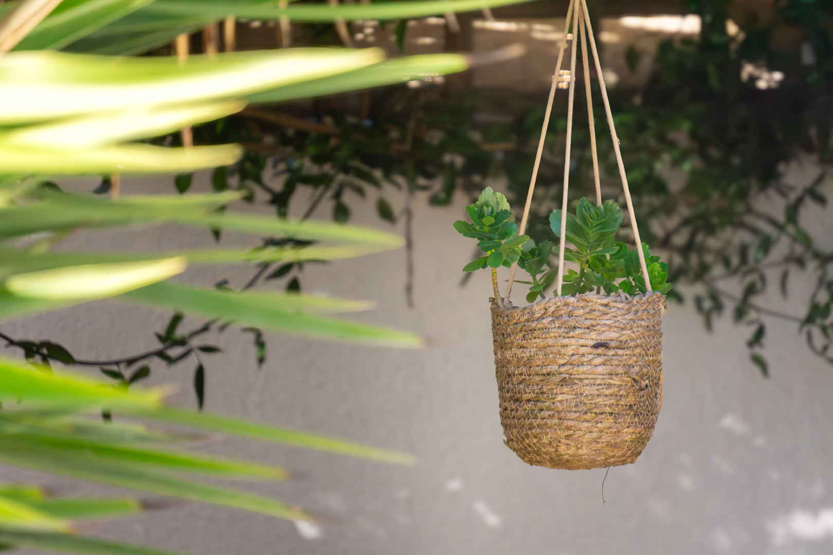 Détail décoratif d'un pot suspendu en fibres naturelles avec des plantes succulentes, illustrant le jardin méditerranéen à entretien facile sous une lumière douce.