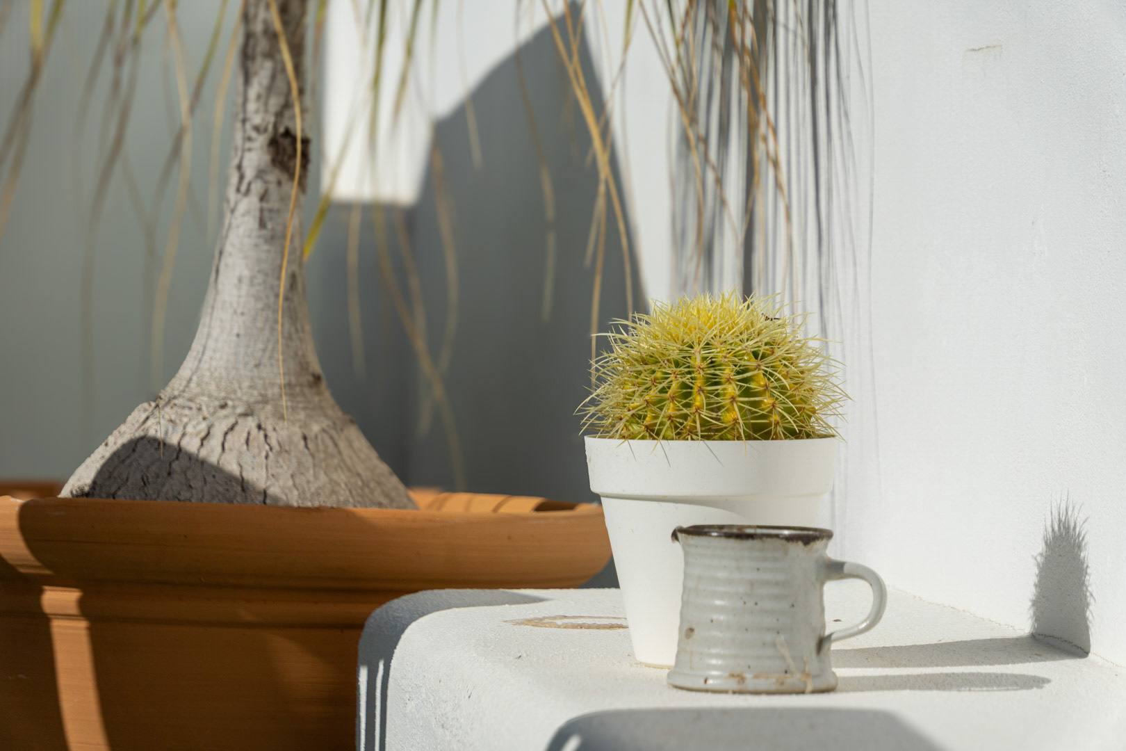 Détail décoratif sur la terrasse avec un cactus en pot blanc et une céramique artisanale, illustrant l'ambiance lumineuse et épurée de l'extérieur méditerranéen.