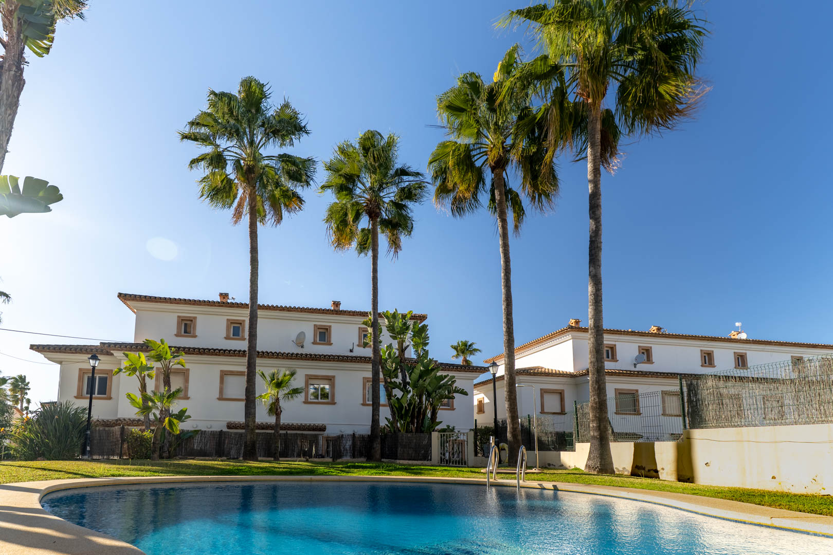 Piscine communautaire de forme incurvée entourée de pelouses et de grands palmiers, avec les façades blanches et les toits en tuiles du complexe en arrière-plan.