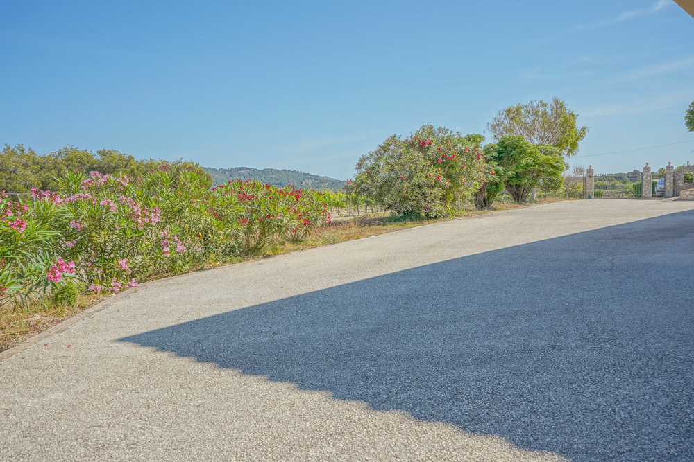 Large allée pavée bordée de lauriers-roses en fleurs et de végétation méditerranéenne, offrant une vue sur les vignobles et les collines environnantes.