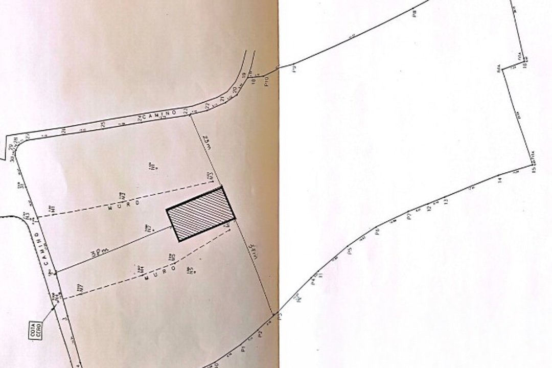 Plan de situation technique illustrant les limites du terrain, l'accès routier et l'emprise ombrée d'un bâtiment avec des mesures précises.