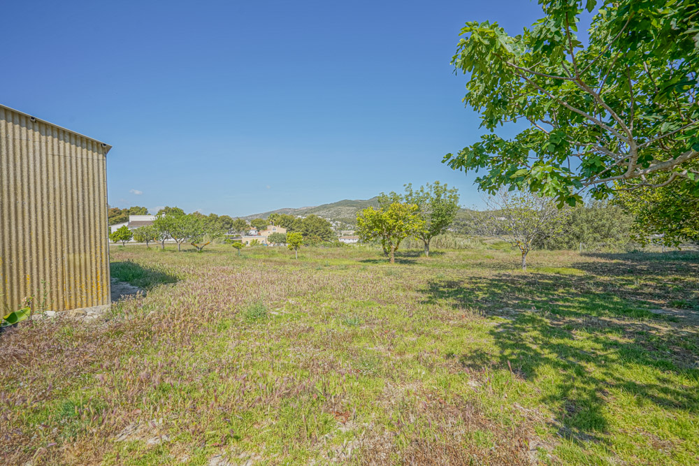 Vaste terrain rural comprenant un abri en métal ondulé, des arbres fruitiers et une vue dégagée sur les collines environnantes.