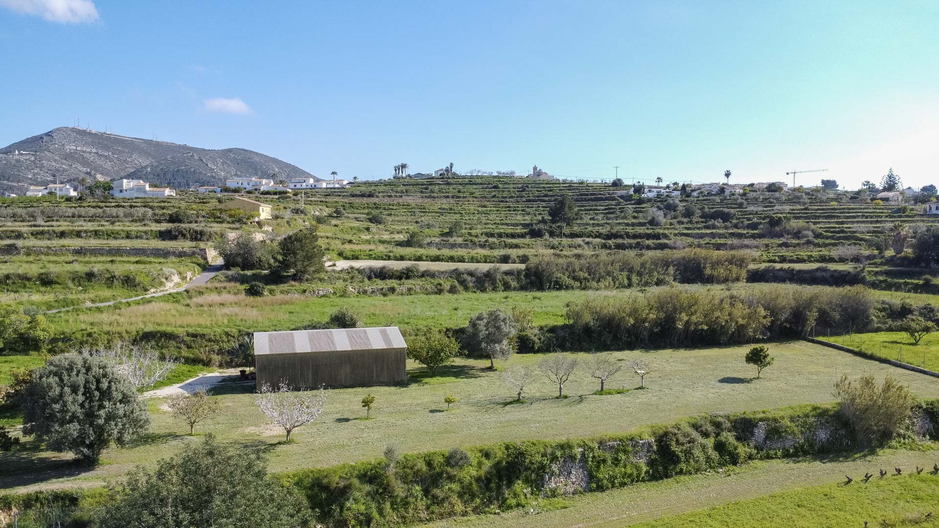 Vue aérienne de collines en terrasses avec des murs en pierre, comprenant un abri en bois et de jeunes arbres fruitiers en zone rurale.