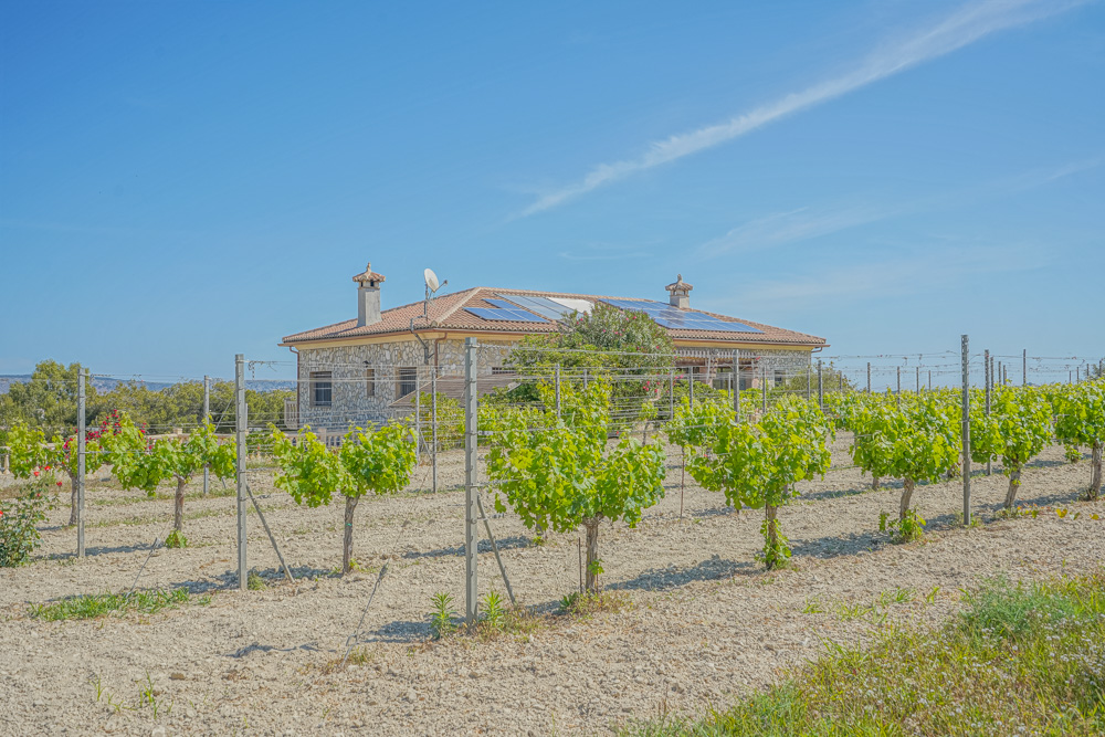 Vue extérieure d'une villa en pierre avec panneaux solaires sur toit de tuiles, surplombant un vignoble privé avec des vignes palissées.
