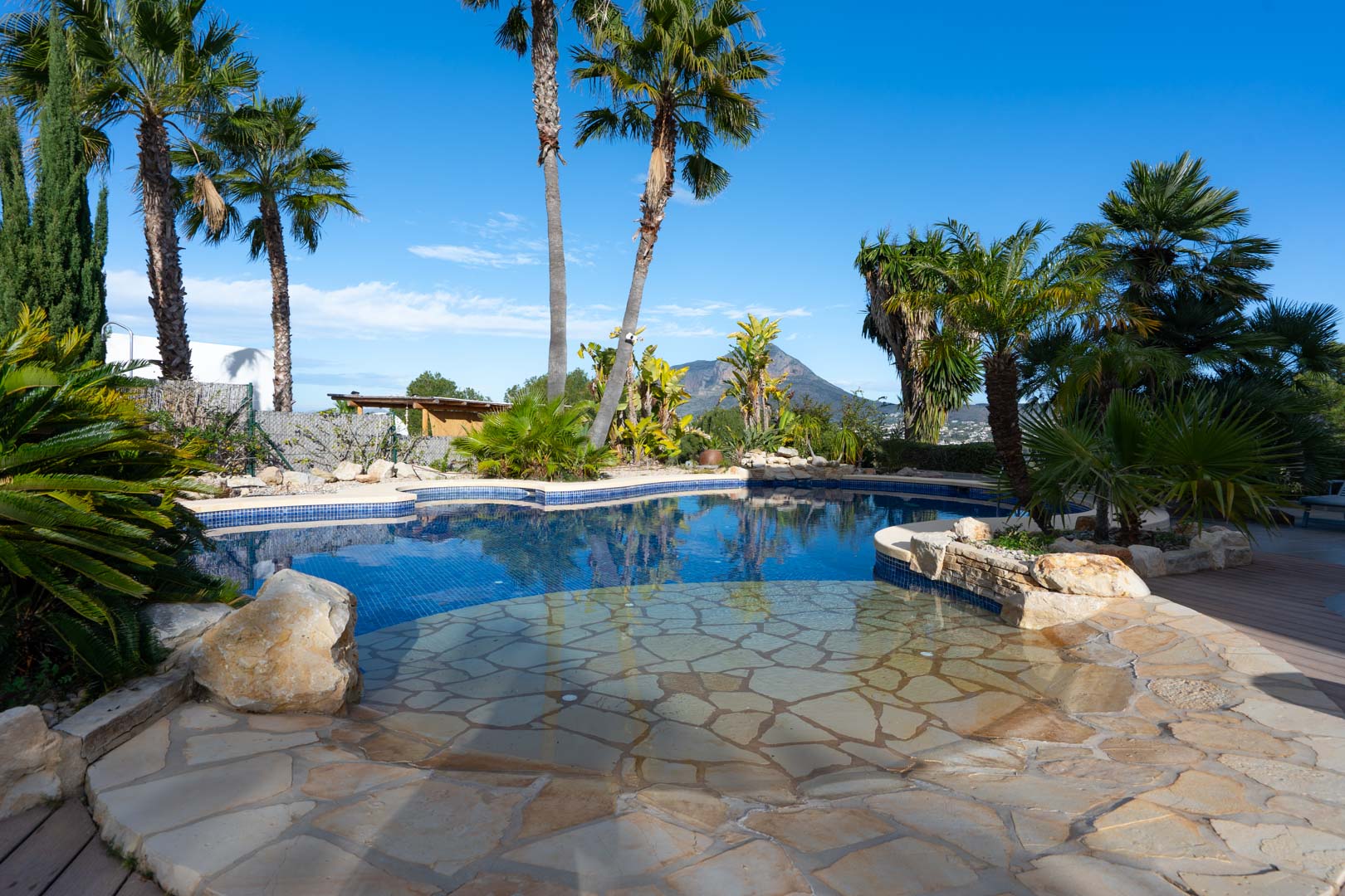 Piscine de forme organique avec entrée en pierre naturelle, entourée d'un jardin tropical et de palmiers offrant une vue dégagée sur le Montgó.