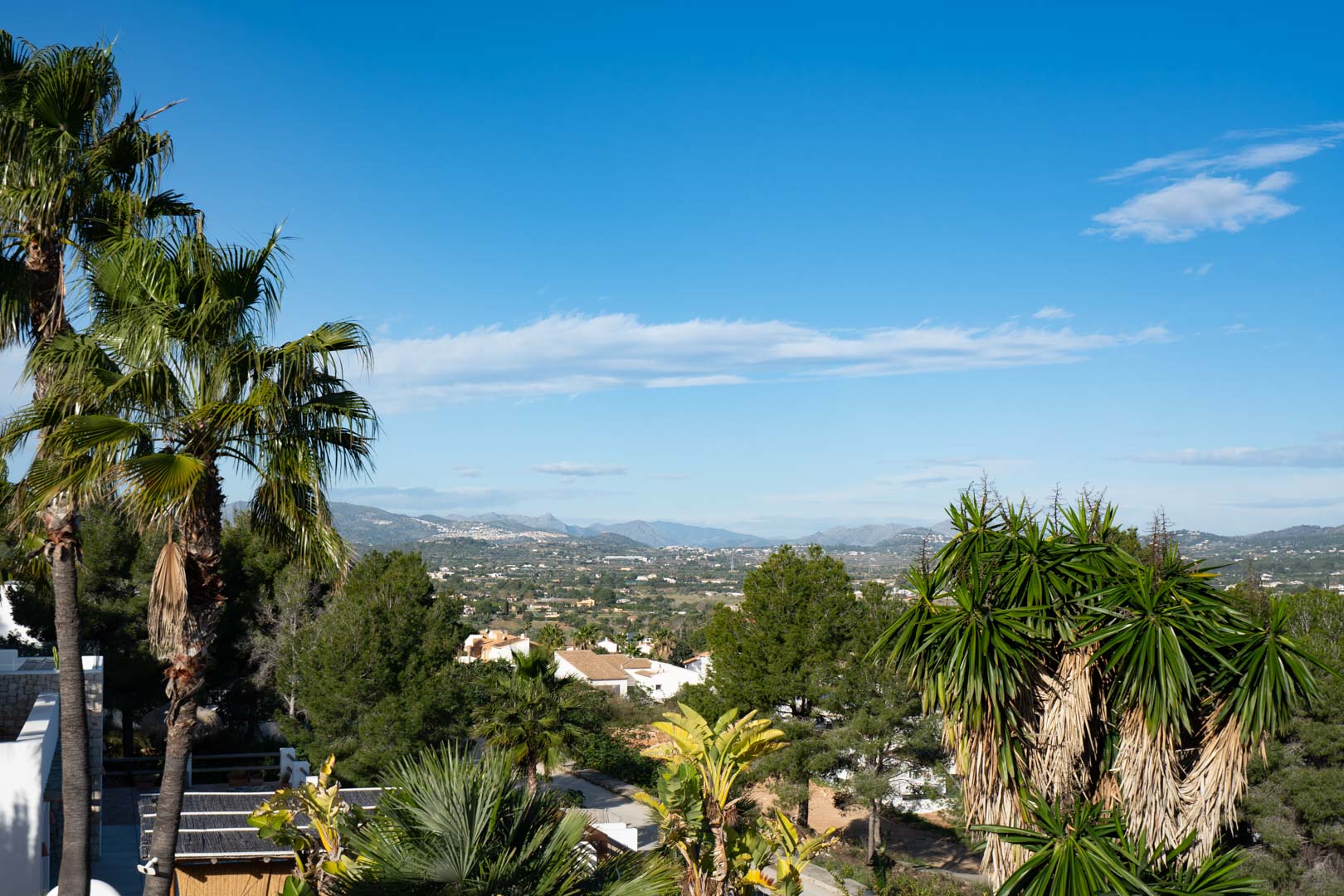 Vues panoramiques sur la vallée et les montagnes, encadrées par des palmiers et une végétation tropicale luxuriante depuis les hauteurs de la propriété.