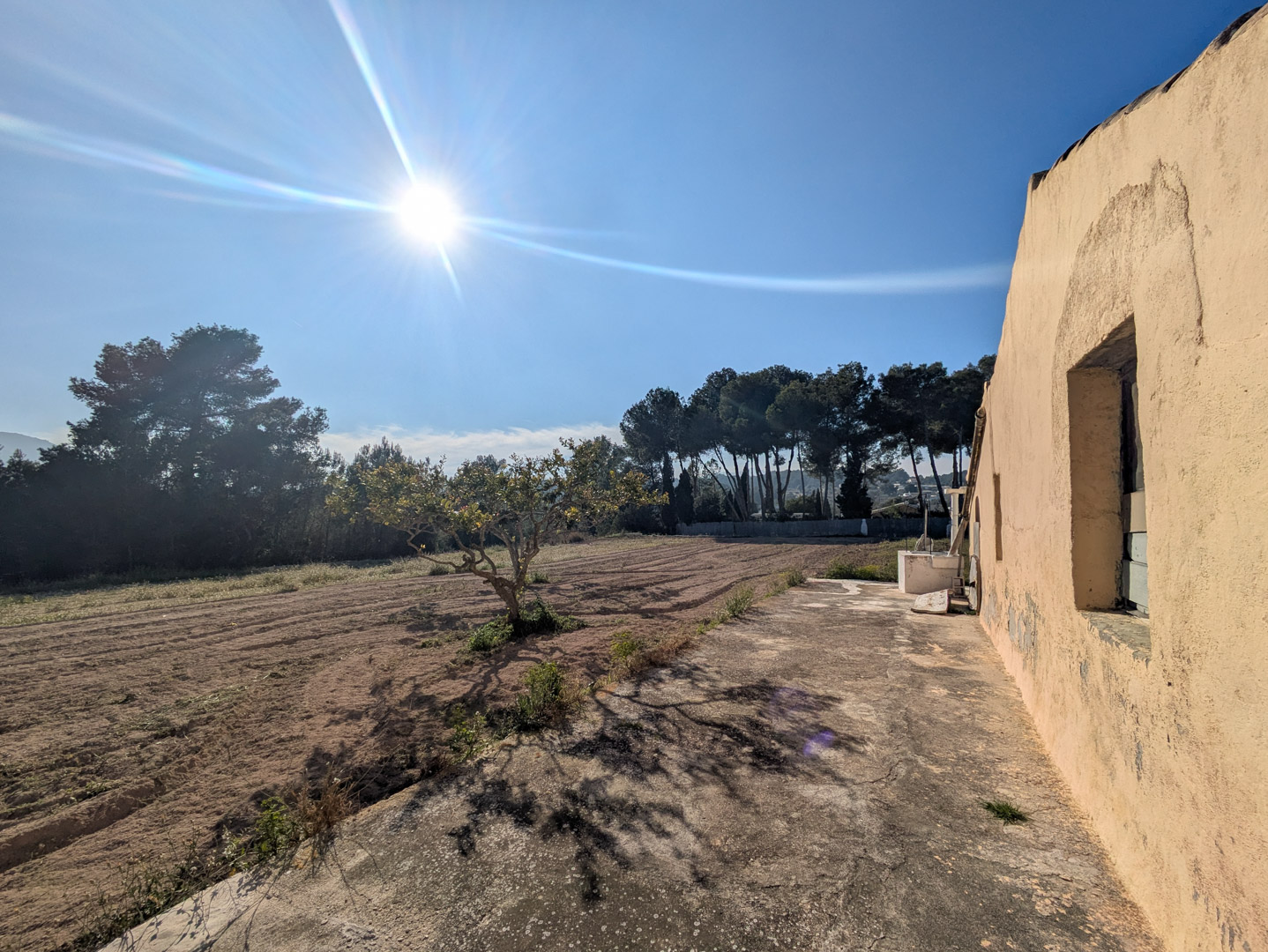Façade latérale de la finca avec murs en crépi ocre, terrasse en béton et vue sur le vaste terrain rustique plat bordé de pins sous un soleil radieux.