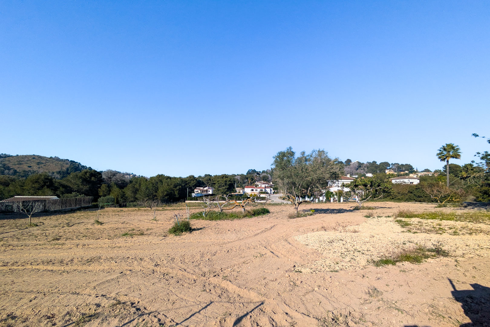 Vue panoramique sur le vaste terrain rustique plat, comprenant des oliviers et une végétation locale, avec les collines de Jávea en arrière-plan.